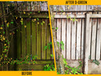V-TUF D-Green before and after showing moss removal from paving slabs