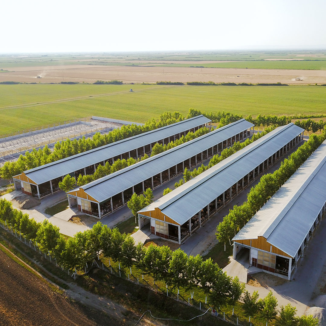 Avian Flu Prevention on Poultry Farms