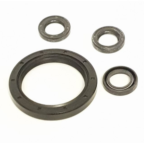 OIL SEAL KIT FOR XHDH400 - O.SEAL4H