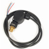 PRESSURE SWITCH - SMALL 45 BAR/ 6A 3 CORE LEAD - C0.040